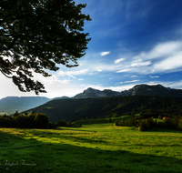 fileadmin/roha/images_galerie/orte_landschaft/Anger/Anger/Anger-Landschaft/LANDS-ANG-NEUH-0024-D-roha-Landschaft-Anger-Neuhaus-Hochstaufen-Bank-Kuh-Herde.png