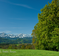 fileadmin/roha/images_galerie/orte_landschaft/Saaldorf/LANDS-SAAL-SILL-0001-D-roha-Landschaft-Saaldorf-Sillersdorf-Hochstaufen-Zwiesel.png