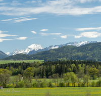 fileadmin/roha/images_galerie/orte_landschaft/Saaldorf/LANDS-SILL-0040-D-roha-Landschaft-Saaldorf-Sillersdorf-Ulrichshoegl-Johannishoegl-Watzmann-Lattengebirge.png