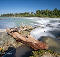 fileadmin/roha/images_galerie/wasser/LAUF-SALZA-SOHL-0007-D-roha-Laufen-Salzach-Sohlschwelle-Schwemmholz.png