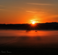 fileadmin/roha/images_galerie/stimmung-Sonne/Sonnenaufgang/SO-AU-HAARM-0030-0513-02-D-roha-Sonne-Sonnenaufgang-Haarmoos-Nebel.png