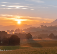 fileadmin/roha/images_galerie/stimmung-Sonne/Sonnenaufgang/SON-AU-STEINH-0028-0653-D-M-roha-Sonnenaufgang-Anger-Steinhoegl-Sonne-Gaisberg.png