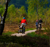 fileadmin/roha/images_galerie/Freizeit-Sport/Mountainbike-Radfahren/SPO-MOUN-KENDLM-0007-D-roha-Sport-Mountainbike-Rad-Rottau-Kendelmuehlfilzen-Weg.png