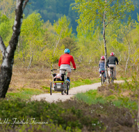 fileadmin/roha/images_galerie/Freizeit-Sport/Mountainbike-Radfahren/SPO-MOUN-KENDLM-0007-D-roha-Sport-Mountainbike-Rad-Rottau-Kendelmuehlfilzen-Weg.png