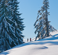 fileadmin/roha/images_galerie/Freizeit-Sport/Wandern/WAN-TEI-STOIS-WI-0005-D-roha-Sport-Wandern-Winter-Schnee-Weg-Teisendorf-Anger-Stoisser-Alm-Teisenberg.png