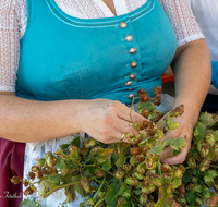 fileadmin/roha/images_galerie/kulinarisch/Wieninger/WIENINGER-HOPF-FEST-2023-1550-01-D-roha-Wieninger-Hopfenzupferfest.png