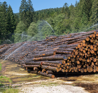 fileadmin/roha/images_galerie/Landwirtschaft/Forst-Holzknecht/HOLZKNE-FOR-0001-D-roha-Holzknecht-Teisenberg-Langholz-waessern-Kohlhaeusl.png