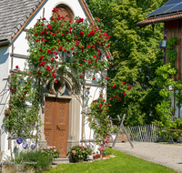 fileadmin/roha/images_galerie/kirche_religion/Anger/KKKM-ANG-STROB-0064-D-roha-Kapelle-Anger-Aufham-Strobl-Alm-Rose.png