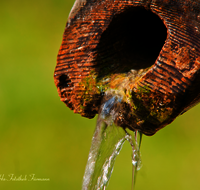 fileadmin/roha/images_galerie/Wasser-Brunnen/LANDA-BRUN-RUH-ROETH-0003-D-roha-Landart-Brunnen-Wasser-Ruhpolding-Roethelmoos.png