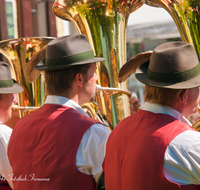 fileadmin/roha/images_galerie/musik/Blasmusik/Teisendorf-Neukirchen-Weildorf/MU-BLA-TEI-0043-D-roha-Musik-Blasmusik-Teisendorf-Tuba.png