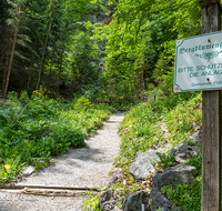 fileadmin/roha/images_galerie/orte_landschaft/Piding/PID-BERGBL-0001-D-roha-Piding-Bergblumen-Garten-Schild-Weg.png