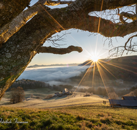 fileadmin/roha/images_galerie/orte_landschaft/Anger/Anger/Anger-Stimmung/SO-AU-ANG-STOISSB-0002-0758-01-D-M-roha-Sonnenaufgang-Anger-Stoissberg-Neuhaus-Baum.png