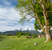 fileadmin/roha/images_galerie/orte_landschaft/Berchtesgaden/Watzmann/BGD-WATZ-0008-01-D-roha-Berchtesgaden-Watzmann-Bischofswiesen.png