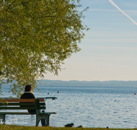 fileadmin/roha/images_galerie/orte_landschaft/Chiemsee/CHIE-FRAU-BA-0011-D-roha-Chiemsee-Fraueninsel-Bank-Frau-See.png