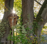 fileadmin/roha/images_galerie/stimmung-Sonne/KKKM-TEIS-WOLFGR-0021-05-D-roha-Wegkreuz-Teisendorf-Wolfgrub-Linde-Sonne.png