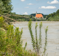 fileadmin/roha/images_galerie/orte_landschaft/Laufen/LAUF-SALZA-STIF-0001-D-roha-Laufen-Salzach-Dammweg-Stiftskirche.png