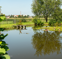 fileadmin/roha/images_galerie/orte_landschaft/Teisendorf/TEI-SUED-OST-0028-02-D-roha-Teisendorf-Sued-Ost-Weiher-Seerosen-Kirche.png