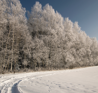 fileadmin/roha/images_galerie/Winter/WINT-TEI-UF-0007-D-roha-Winter-Teisendorf-Ufering-Weg-Schnee.png