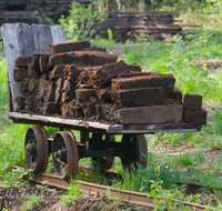 fileadmin/roha/images_galerie/orte_landschaft/Ainring/AINR-MOOR-0002-2-D-roha-Ainring-Moor-Torf-Torfstich-Torfabbau-Lore-Boggerlbahn.png