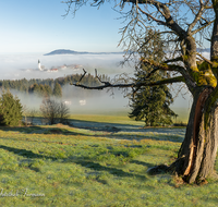 fileadmin/roha/images_galerie/orte_landschaft/Ainring/AINR-UL-0010-07-D-roha-Ainring-Ulrichshoegl-Nebel-Rupertiwinkel.png