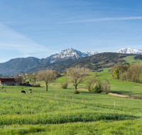 fileadmin/roha/images_galerie/orte_landschaft/Anger/Anger/AN-0027-01-D-roha-Anger-Panorama-Hochstaufen.png