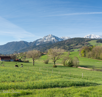 fileadmin/roha/images_galerie/orte_landschaft/Anger/Anger/AN-0027-01-D-roha-Anger-Panorama-Hochstaufen.png