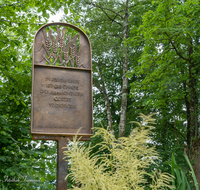 fileadmin/roha/images_galerie/kirche_religion/Ainring/KKKM-AINR-FRZ-06-D-roha-Stelen-Franziskus-Weg-Sonnengesang-Mutter-Erde.png