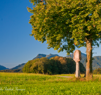 fileadmin/roha/images_galerie/kirche_religion/Bernau/KKKM-BERN-KOTHOED-0001-D-roha-Wegkreuz-Bernau-Kothoed-Baum.png