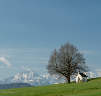 fileadmin/roha/images_galerie/Hintergrund-Download/1600x1200/KKKM-SAALD-SILL-0041-D-roha-Kapelle-Saaldorf-Sillersdorf-Hochstaufen-Zwiesel.png