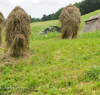 fileadmin/roha/images_galerie/orte_landschaft/Teisendorf/Neukirchen/TEI-NEUK-KOEHL-0023-D-roha-Neukirchen-Kohlenmeiler-Brauchtum-Koehler-Heu-Landwirtschaft.png