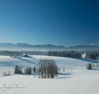 fileadmin/roha/images_galerie/Winter/WINT-TEI-NEUK-0016-D-roha-Winter-Teisendorf-Neukirchen-Chiemgauer-Berge-Hochfelln-Hochgern.png