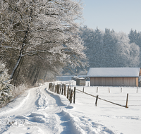 fileadmin/roha/images_galerie/Winter/WINT-TEI-UF-0002-D-roha-Winter-Teisendorf-Ufering-Stadel-Zaun-Weg.png