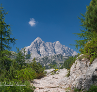 fileadmin/roha/images_galerie/orte_landschaft/Berchtesgaden/Nationalpark_Klausbachtal_Wimbachtal_-Klamm/BGD-NAT-FUNT-WATZ-0001-D-roha-Berchtesgaden-Nationalpark-Steinernes-Meer-Watzmann-Weg.png