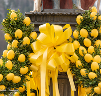 fileadmin/roha/images_galerie/brauchtum/Ostern/BR-OST-BRUNNEN-0004-01-D-roha-Brauchtum-Ostern-Osterbrunnen-Bad-Reichenhall-Schleife-Eier.png