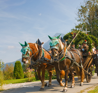 fileadmin/roha/images_galerie/brauchtum/Leonhardiritt/Inzell/BR-PFRI-INZ-0025-D-roha-Brauchtum-Pferdeumritt-Inzell-Michaeliritt-Pferd-Reiter-Wagen.png