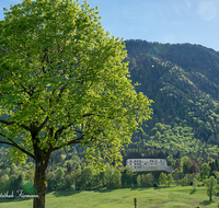 fileadmin/roha/images_galerie/orte_landschaft/Piding/PID-STAUFENECK-0060-D-roha-Piding-Staufeneck-Schloss-Baum.png