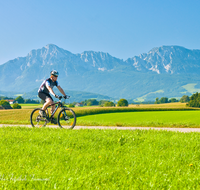 fileadmin/roha/images_galerie/Freizeit-Sport/Mountainbike-Radfahren/SPO-MOUN-ABTS-0020-D-roha-Sport-Mountainbike-Saaldorf-Abtsdorf-Hochstaufen-Zwiesel-Panorama.png