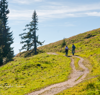 fileadmin/roha/images_galerie/Freizeit-Sport/Wandern/WAN-TEI-STOIS-0006-D-roha-Sport-Wandern-Weg-Teisendorf-Anger-Stoisser-Alm-Teisenberg.png