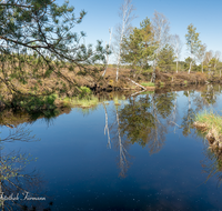 fileadmin/roha/images_galerie/orte_landschaft/Petting/Schoenramer-Moor/PE-SCHOENR-MOOR-0032-0-01-D-roha-Petting-Schoenramer-Moor-Moorsee-Wasser-See.png