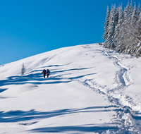 fileadmin/roha/images_galerie/Freizeit-Sport/Wandern/WAN-TEI-STOIS-WI-0001-D-roha-Sport-Wandern-Winter-Schnee-Weg-Teisendorf-Anger-Stoisser-Alm-Teisenberg.png