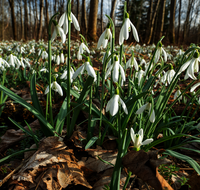 fileadmin/roha/Images-Veroeffentlichungen/Vortraege/Wenn-es-wieder-heller-wird/BL-SCHNEEGL-0070-D-roha-.png