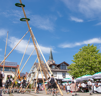 fileadmin/roha/images_galerie/brauchtum/Maibaum/Teisendorf/BR-MAIB-TEI-0067-4-D-roha.png