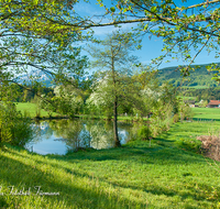 fileadmin/roha/images_galerie/orte_landschaft/Teisendorf/IN-LANDS-Teisendorf/LANDS-TEIS-0020-D-roha-Landschaft-Teisendorf-Pfarrer-Weiher-Hochstaufen_01.png