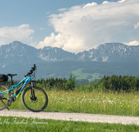 fileadmin/roha/images_galerie/Freizeit-Sport/E-Bike/SPO-E-BIKE-TEI-ARN-0001-D-roha-Sport-E-Bike-Teisendorf-Hochstaufen-Zwiesel-Arnolding-Blumenwiese.png