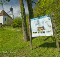 fileadmin/roha/images_galerie/orte_landschaft/Ainring/AINR-KI-0010-D-roha-Ainring-Kirche-St-Laurentius-Baumstamm.png