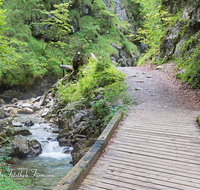 fileadmin/roha/images_galerie/orte_landschaft/Schneizlreuth/SCHNEILZL-WA-BA-WE-0011-D-roha-Schneizlreuth-Weissbach-Waldbahnweg-Bruecke-Weg.png