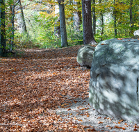 fileadmin/roha/images_galerie/orte_landschaft/Teisendorf/Geo-Park-Lehrpfad/TEI-GEOL-GAR-0016-D-roha-Teisendorf-Geologischer-Garten-Findlinge-Steine-Laub-Buche-Eiche-Herbst.png