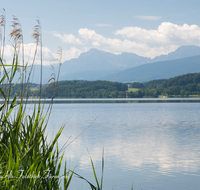 fileadmin/roha/images_galerie/orte_landschaft/Waging/WAG-SEE-WOLK-0002-D-roha-Waginger-See-Hochstaufen-Zwiesel-Wolkersdorf-Wasser.png