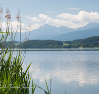 fileadmin/roha/images_galerie/orte_landschaft/Waging/WAG-SEE-WOLK-0002-D-roha-Waginger-See-Hochstaufen-Zwiesel-Wolkersdorf-Wasser.png