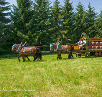 fileadmin/roha/images_galerie/kulinarisch/Wieninger/WIENINGER-BRAU-GESPANN-0008-D-roha-Teisendorf-Wieninger-Brauerei-Gespann-Bier-Fass.png